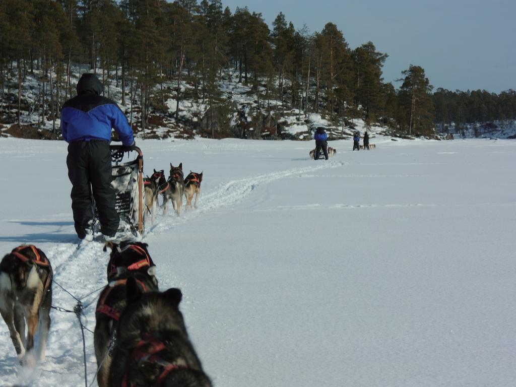 Guesthouse Husky Ivalo Eksteriør billede